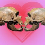 Kissing May Have Evolved 21.5 Million Years Ago in Ancestor of Great Apes and Humans