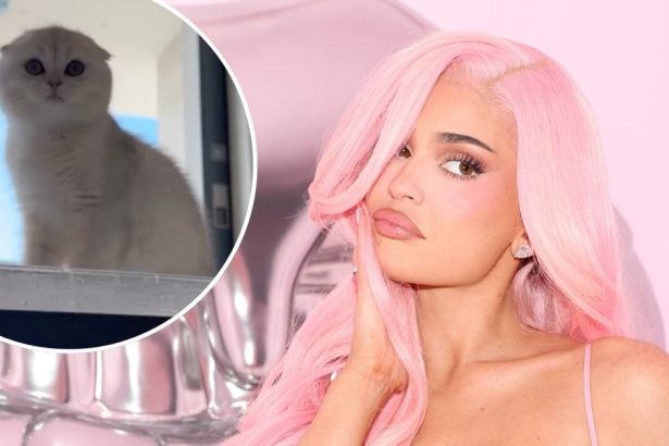 Kylie Jenner Reveals New Kitten Following the Death of Her Dog Norman