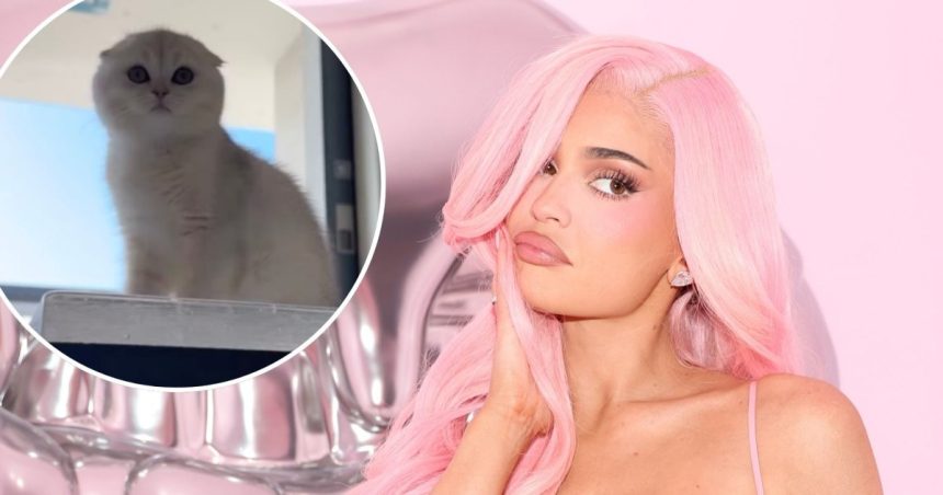 Kylie Jenner Reveals New Kitten Following the Death of Her Dog Norman