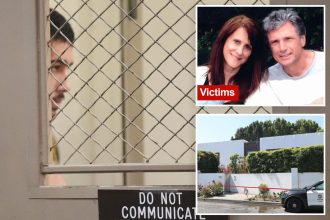 LA junkie charged in slayings of ‘American Idol’ exec Robin Kaye and husband deemed incompetent to stand trial