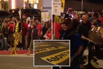 LAX protests to continue as Thanksgiving travel surges