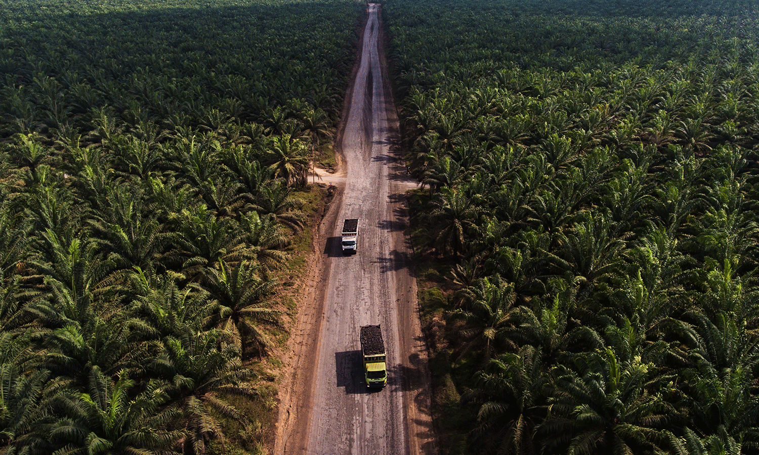 Lessons Learned from 18 years of Arguing About Indirect Land Use Change