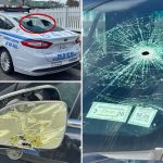 Lexus-riding vandal who allegedly smashed up, slashed tires of 11 NYPD vehicles busted, promptly cut loose in court