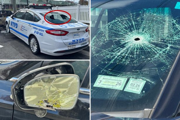 Lexus-riding vandal who allegedly smashed up, slashed tires of 11 NYPD vehicles busted, promptly cut loose in court