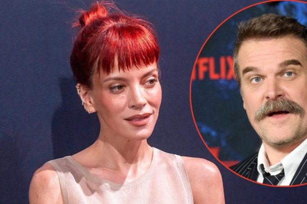 Lily Allen Furious Her Album Didn’t Hurt David Harbour