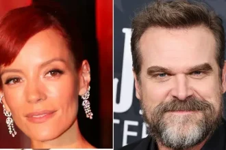 Lily Allen Mocks Ex David Harbour with ‘Sex Toy’ Album Release Party Gifts
