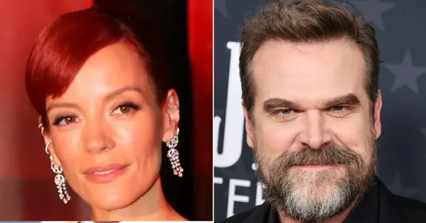 Lily Allen Mocks Ex David Harbour with ‘Sex Toy’ Album Release Party Gifts