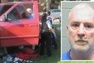 Logan Square man gets 9½-years for driving truck into picnickers
