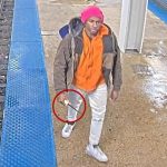 Lunatic stabs woman at Chicago train station 3 months after Iryna Zarutska’s murder