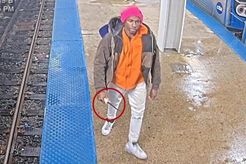Lunatic stabs woman at Chicago train station 3 months after Iryna Zarutska’s murder