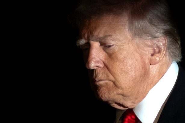 MS NOW Guest Warns That MAGA Is Collapsing