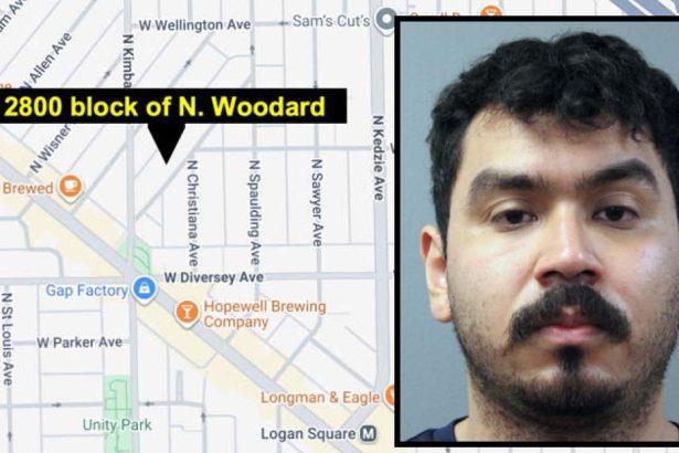 Man charged with fatally stabbing woman inside their Avondale home