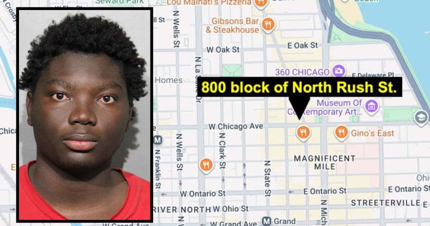 Man charged with slashing victim’s face near Mag Mile is supposed to be receiving mental health treatment: court docs