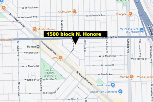 Man killed by rifle fire in Wicker Park alley