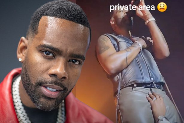 Mario Gets Crotch Grab from Fan During Performance