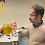 Mechanics of mucus droplets explain swift spread of infections to lungs