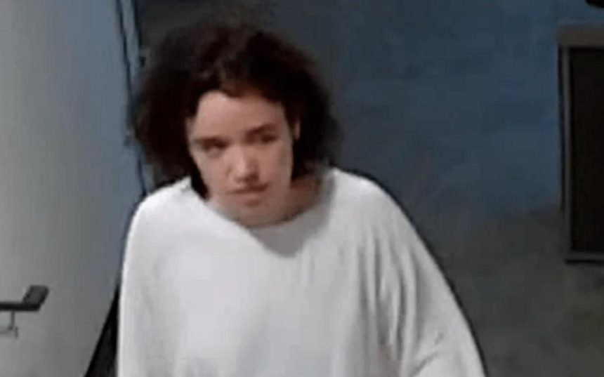 Media release over missing woman criticised