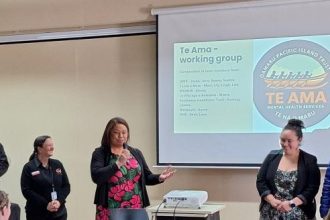 Mental health service launched | Otago Daily Times Online News