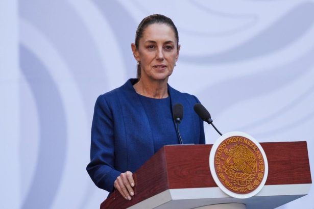 Mexico rejects Trump’s offer of military strikes against cartels — again