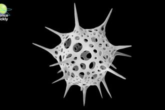 Michael Benson’s Nanocosmos Explores Natural Design through Scanning Electron Microscopy
