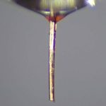 Mosquito proboscis repurposed as a fine nozzle for 3D printing