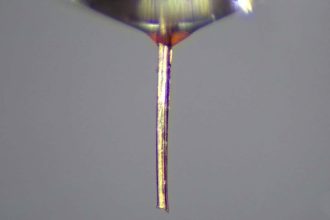 Mosquito proboscis repurposed as a fine nozzle for 3D printing