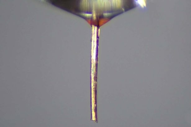 Mosquito proboscis repurposed as a fine nozzle for 3D printing