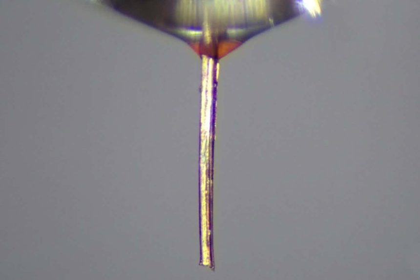 Mosquito proboscis repurposed as a fine nozzle for 3D printing