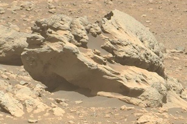 NASA Discovered a Rock on Mars That Doesn’t Belong There : ScienceAlert