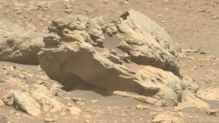 NASA Discovered a Rock on Mars That Doesn’t Belong There : ScienceAlert