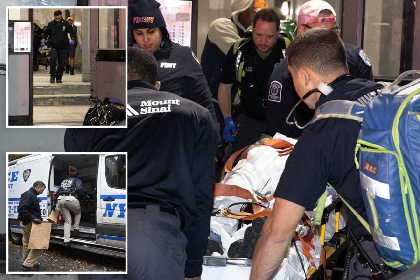 NYC mom stabbed ’50 times,’ left to die by deranged ex who lurked in NYC stairwell for hours: sources