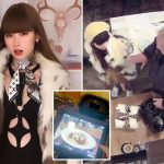 NYC’s accused dine-and-dash diva ordered to undergo psych evaluation by judge