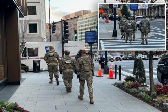 National Guard on ‘alert’ with roving patrols in DC after alleged terror suspect’s shocking ambush