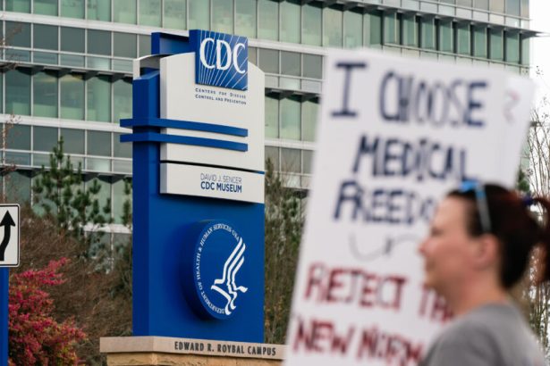 New CDC leader, hep B vaccine, beagles: Morning Rounds