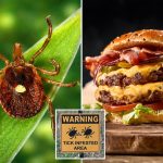 New Jersey pilot first known to die of meat allergy caused by tick bite
