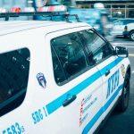 New York Woman Arrested After 200 Animals Found In Filthy Hell House