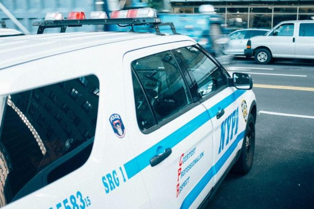 New York Woman Arrested After 200 Animals Found In Filthy Hell House