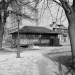 November 11, ‘Typhoid Mary’ dies