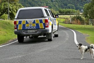 One dead, two injured after 4WD rolls in Far North