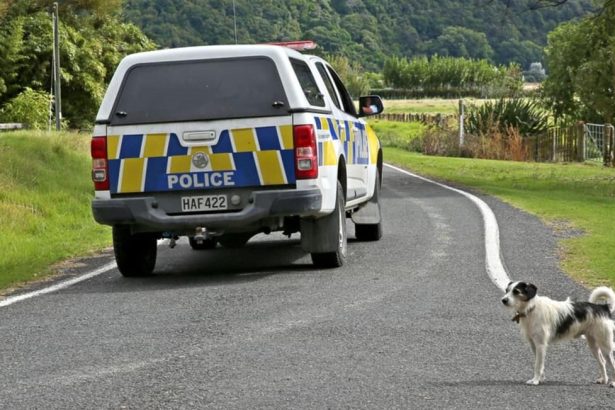 One dead, two injured after 4WD rolls in Far North
