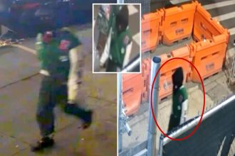 Perv tries to force woman into sex act on NYC street, but he ends up scurrying away: cops