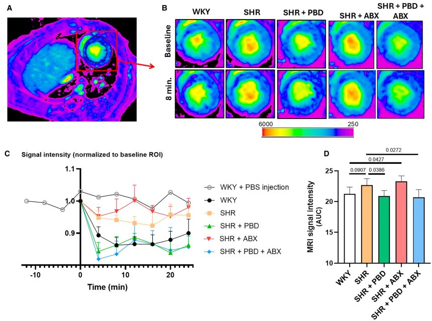 Plant-based diet can prevent, reverse form of heart disease in animals with hypertension