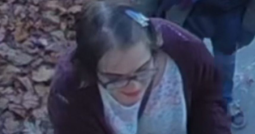 Police Seek Help As ‘Slender Man’ Attacker Flees Group Home