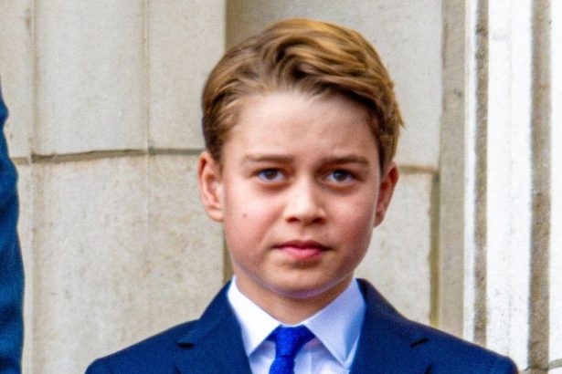 Prince George and Young Royals Prepped to Protect Monarchy
