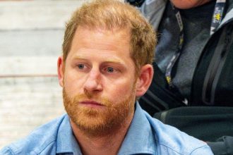 Prince Harry Facing Backlash Over Toronto Trip After Blue Jays Snub