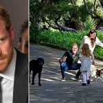 Prince Harry Wants Kids Visiting UK Before King Charles Declines