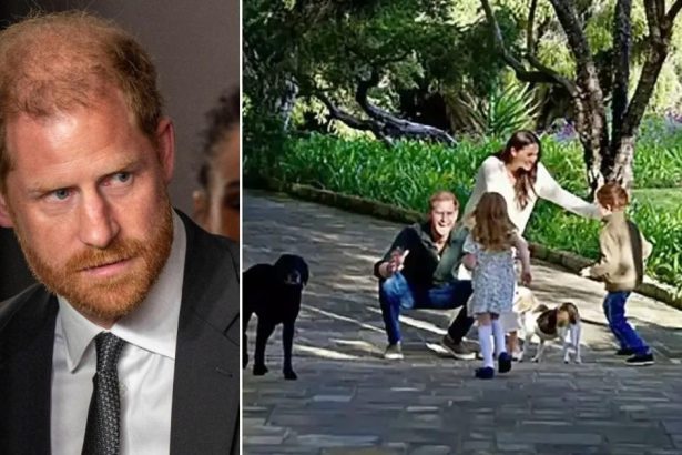 Prince Harry Wants Kids Visiting UK Before King Charles Declines
