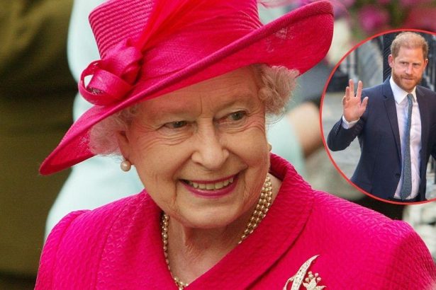 Prince Harry’s Money Demands Left Queen Hurt And Estranged