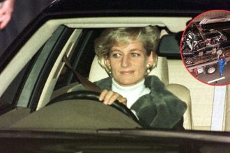 Princess Diana Secret Files Heist Plot Sparked by Conspiracy Theorists