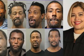 Prosecutor warned judge before release of man now accused in CTA fire attack: transcripts